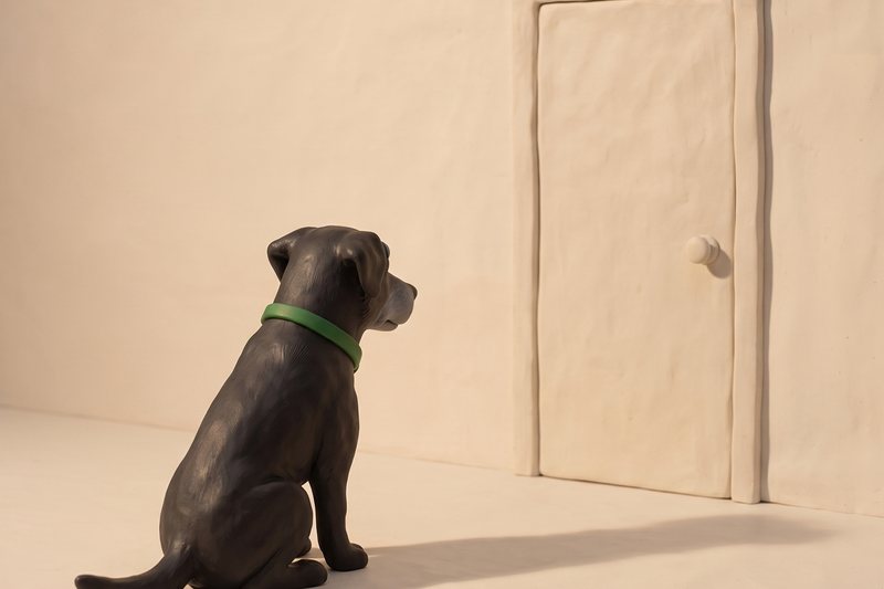 Ein Sch&auml;ferhund-Senior sitzt vor einer geschlossenen T&uuml;r